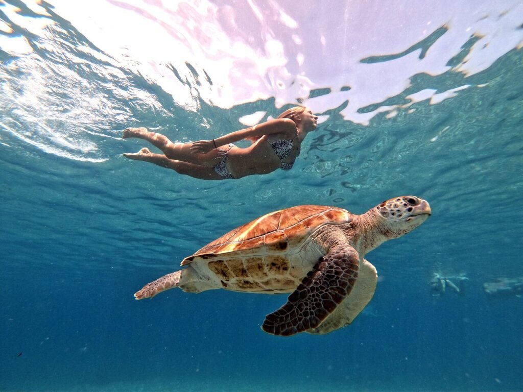 Playa Piskado Curacao